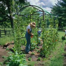 Elegant garden trellis for vertical gardening and plant growth
