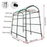Garden Trellis for Climbing Plants