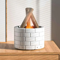 Flame Effect Humidifier and Aroma Diffuser with USB Operation