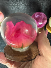 roses displayed in resin