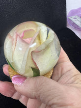 roses displayed in resin