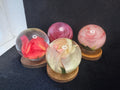 roses displayed in resin