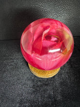 roses displayed in resin