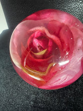 roses displayed in resin