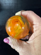 roses displayed in resin