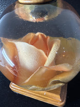 Night lights made with roses displayed in resin