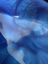 dolphin soap holder in resin