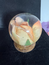 roses displayed in resin