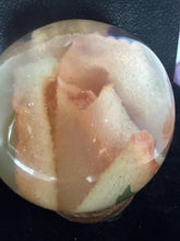 roses displayed in resin