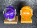 roses displayed in resin