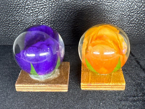 roses displayed in resin