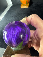 roses displayed in resin