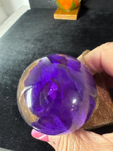 roses displayed in resin