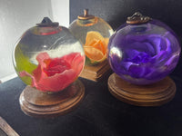 Night lights made with roses displayed in resin