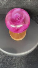 roses displayed in resin